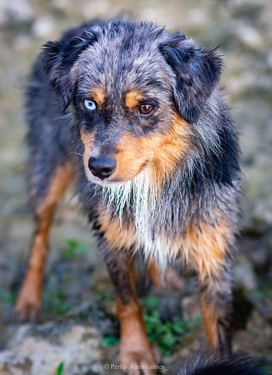 Photo Jul 20, 3 29 22 PM.jpg