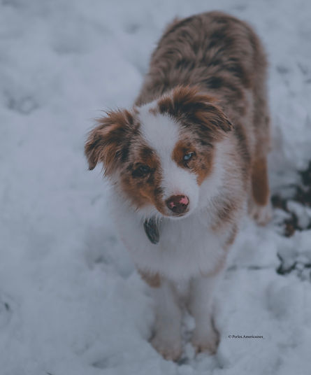 photo jan 10, 3 55 40 am.jpg