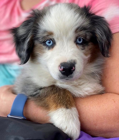 Photo Mar 09, 6 31 11 PM.jpg