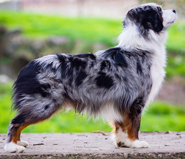 Photo Nov 11, 12 40 51 PM.jpg