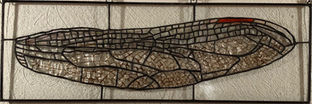 Dragonfly Wing