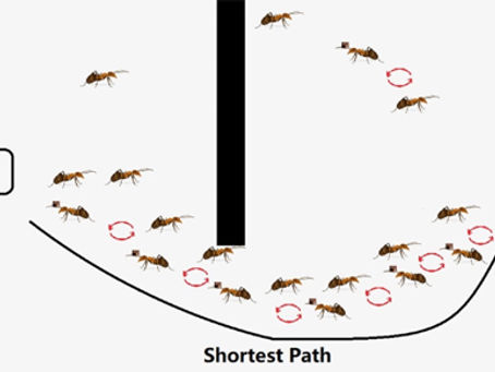 The Ant System for Problems with Discrete Variables with Beam Design Example