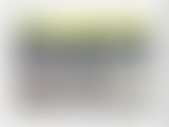 PILE-OP : A Preview of AI tool for pile group design