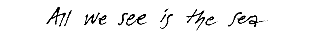 ASS_logo_writing.gif