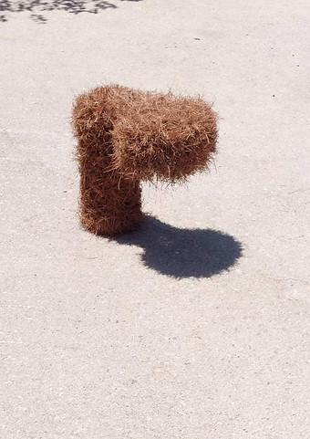 Martha Dimitropoulou Bollard 55 x 60 x 42cm pine needles 2021.jpeg