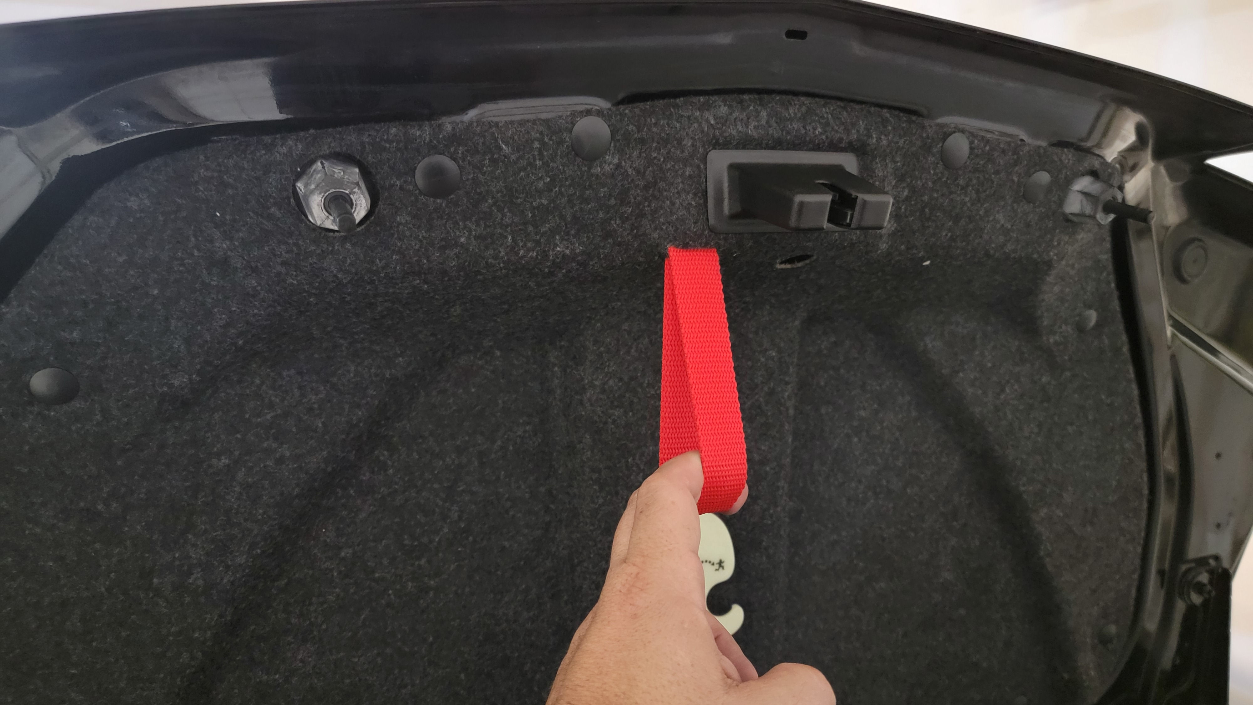 Trunk Pull Strap
