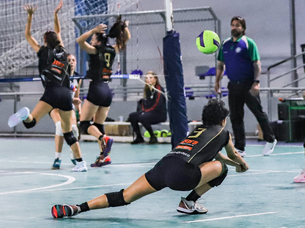 54465093866_4f1c641270_o