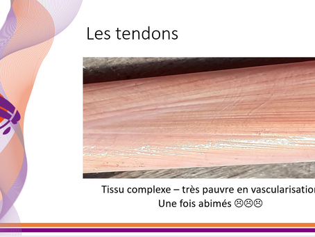 Podcast 16 : Le bien être des tendons