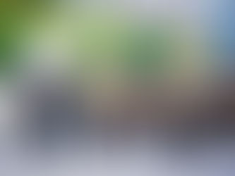 ENCERRADO | VAGAS ABERTAS PARA CABO MÚSICO TEMPORÁRIO EM MACAPÁ (AMAPÁ)