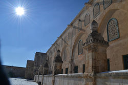DSC_0991.jpg
