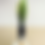 Thumbnail: Snake