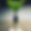 Thumbnail: Neanthe Bella