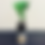 Thumbnail: ZZ Plant