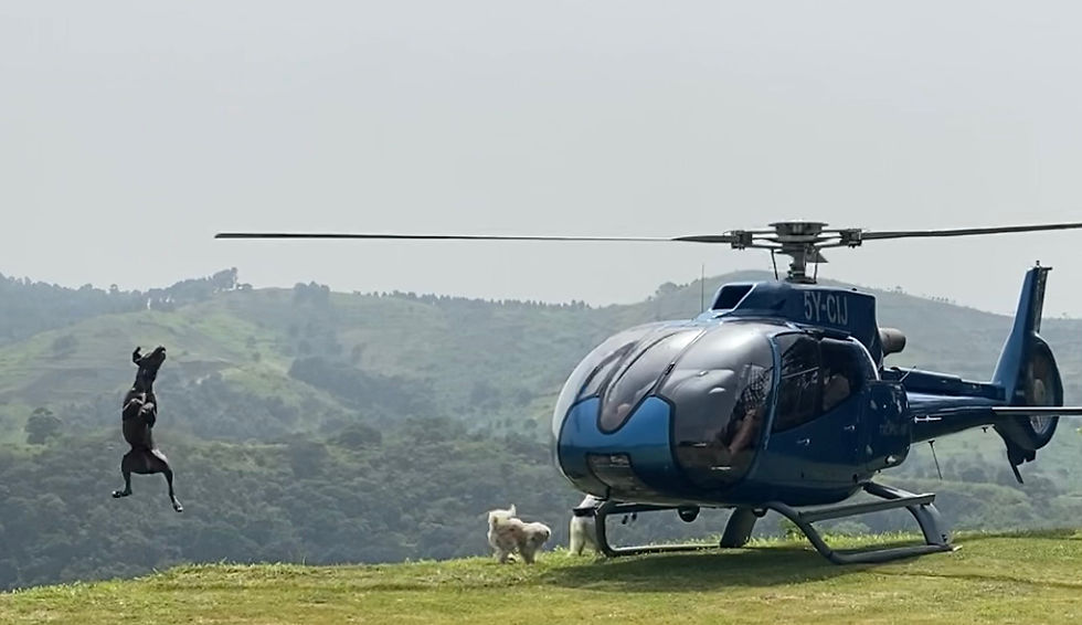 Ndali Helicopter
