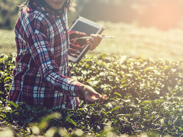 3 Ways to Harvest the Value of On-Farm Research