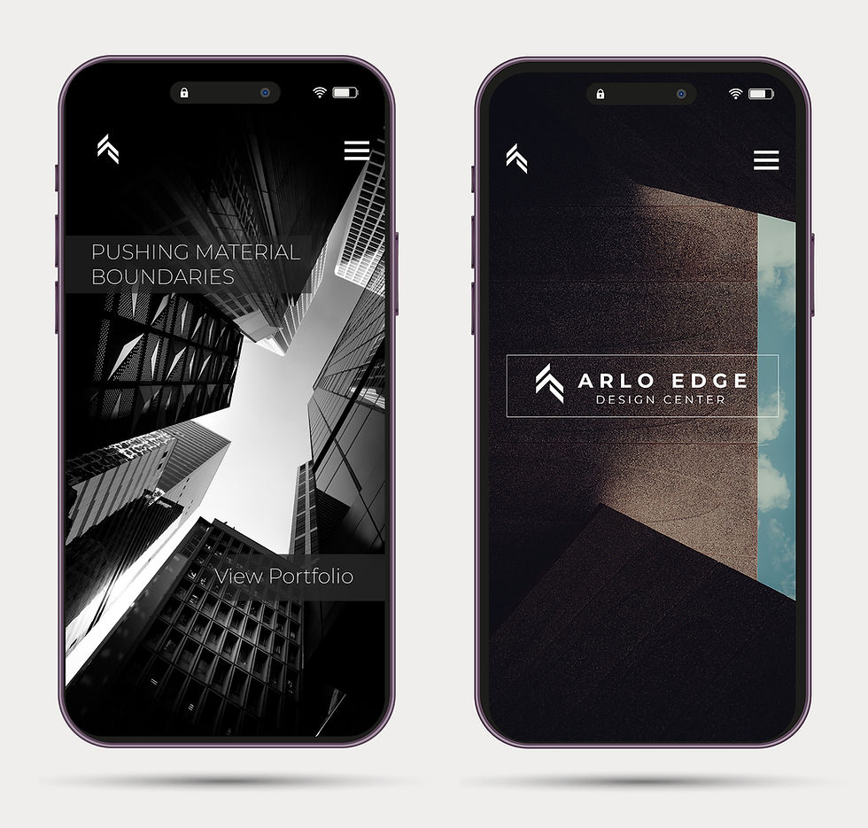 Two Phone Arlo copy_edited.jpg