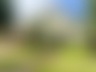 A Two Million Luxury House Was Closed by Dr.Wang