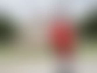 王博士的个人简历