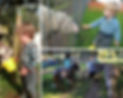 Animals Collage.jpg