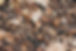 sugar-bee-9kHAdJoNRJc-unsplash.jpg