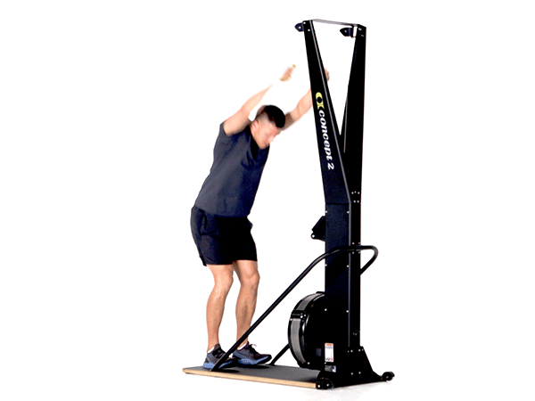 Ski-Erg-Butterfly.gif