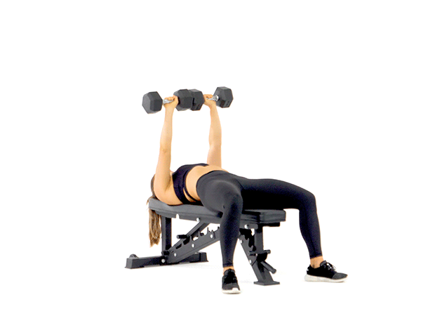 1.-DUMBBELL-BENCH-PAUSE-CHEST-PRESS.gif