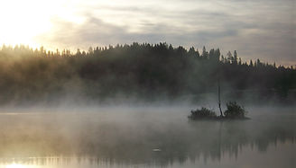Morning fog in Skog.jpg