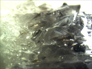 Sci-Art: Under the Microscope