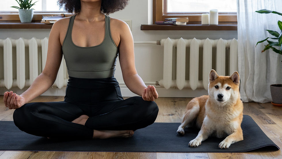 Pet Friendly Dog Moms on the Mat
