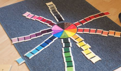 P3231936roue des couleurs