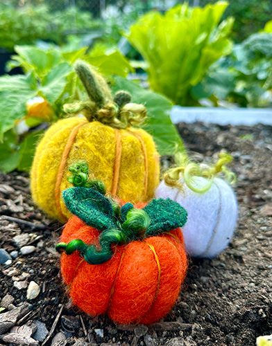 Needle-Felted Pumpkin Magic