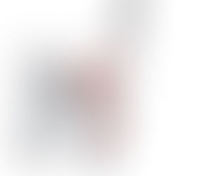 O Movimento de Sentado para de pé e suas implicações nas atividades do cotidiano.