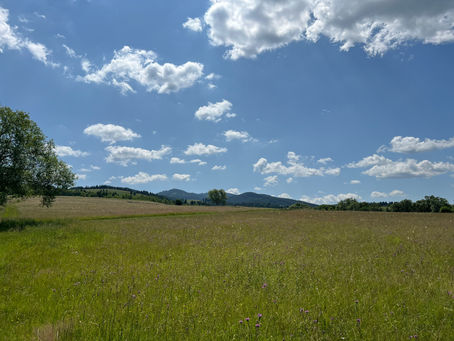 Improvement of Protected Grasslands Using Natural Seed Mixtures