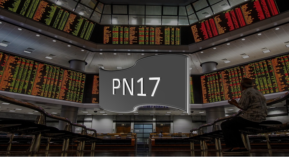 What make listed company fall into PN17?
