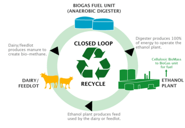 8. What is the 'loop'? - Week 4, October 22-25