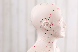 shutterstock_220443772