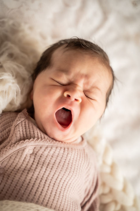 geboortefotograaf Brugge
geboortefotograaf West-Vlaanderen
Anne Geddes
newbornfotograaf West-Vlaanderen
newbornshoot
newborn reportage
newborn fotografie
baby fotografie
newborn fotograaf Brugge
Babyfotograaf Brugge
newbornfotografie aan huis
Douillette
newbornfotograaf West-Vlaanderen
babyfotograaf West-Vlaanderen
nostalgische fotografie
vintage fotografie
retro fotografie
retro babyfotografie
cadeaubon fotoshoot
fotoshoot moeder en baby
nostalgisch fotograaf
oude sfeer
newbornfotografie aan huis
mobiele fotostudio 
artistieke fotografie
nostalgische fotografie
vintage fotografie
retro fotografie
vintage babyfotografie
vintage newbornfotografie
retro babyfotografie
retro newbornfotografie
cadeaubon babyfotoshoot
kraamreportages
materniteit
vroedvrouw
baby
newborn
ziekenhuis Brugge
AZ Sint-Lucas
AZSint-Jan
geboorte
geboortes
geboren
bevalling
geboorteconcept
geboortelijst
geboortelijst Brugge
babywinkel Brugge
ecologisch
natuurlijke fotografie
doopsuiker
doopsuikerconcept
originele doopsuiker
duurzaam 
ecologisch
antiek
zacht
cocon
newbornshoot
newborn reportage
newborn fotografie
baby fotografie
newborn fotograaf Brugge
Babyfotograaf Brugge
newbornfotografie aan huis
Douillette
newbornfotograaf West-Vlaanderen
babyfotograaf West-Vlaanderen
nostalgische fotografie
vintage fotografie
retro fotografie
retro babyfotografie
cadeaubon fotoshoot
fotoshoot moeder en baby
nostalgisch fotograaf
oude sfeer
newbornfotografie aan huis
mobiele fotostudio 
artistieke fotografie
nostalgische fotografie
vintage fotografie
retro fotografie
vintage babyfotografie
vintage newbornfotografie
retro babyfotografie
retro newbornfotografie
cadeaubon babyfotoshoot
kraamreportages
materniteit
vroedvrouw
baby
newborn
ziekenhuis Brugge
AZ Sint-Lucas
AZSint-Jan
geboorte
geboortes
geboren
bevalling