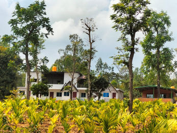 "Coffee estate dreams in Chikmagalur ☕"
