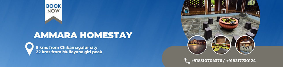 Travel Monk Banner - Amruth-3.png
