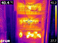 Is Thermal Scanning Really Enough?
