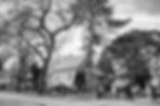 Black and white photo of a line of people walking past homes with bare branches of trees overhead. Photo by Enrique Mayen.