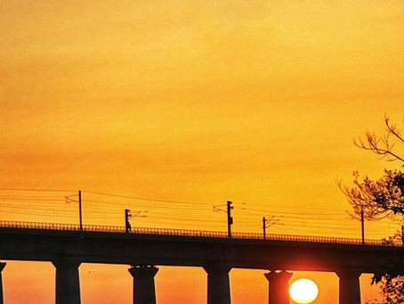 Survivors born of survivors