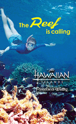 Snorkeling Web Banner Ad