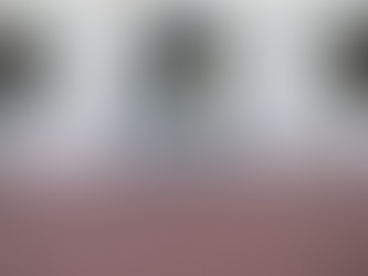 Belmont Vandalized with Graffiti