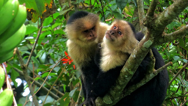 COSTA RICA - A nation of peace, nature and vibrant traditions