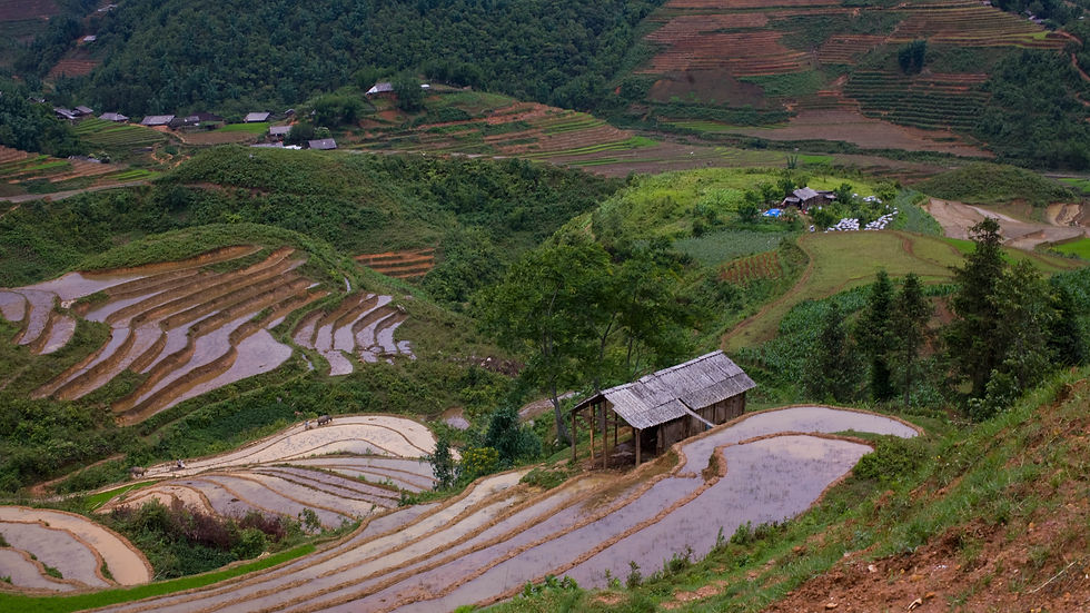 In the heart of Lao Cai Province in Vietnam, the rice terraces testify to centuries of agricultural traditions and human effort. These stunning terraces, stretching across the landscape in undulating patterns, are a masterpiece of engineering and sustainability, cultivated by local farmers for over 3,000 years. Photo: Rama, Flickr