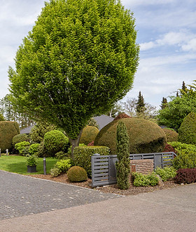 Bauernhof 63654 Wolf-05432.jpg