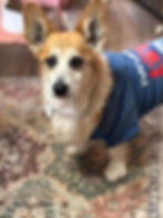 Thumbnail: Edgar Allen