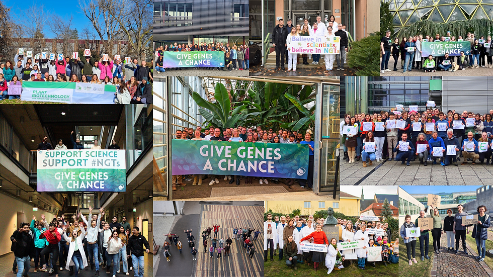 Collage of groups of scientists rallying across Europe in support of NGTs