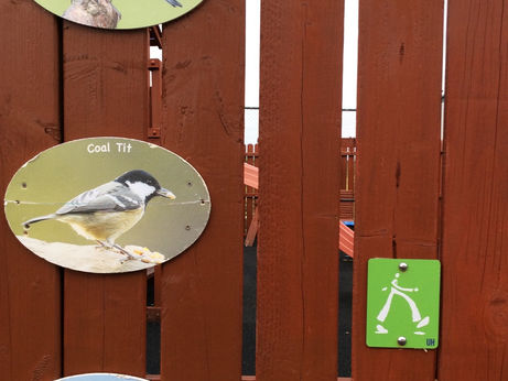 Our Active School Walkway